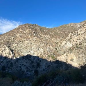 Meet your Posher, Alvin